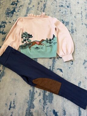 Janie and Jack Pink & Blue Horse Intarsia Sweater Set